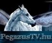 Pegazustv Média És Oktató Kft.
