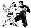 WING-CHUN KUNG-FU BAJA