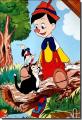 Micimacko