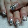 Kitti 06203322647