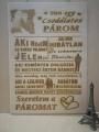 Van egy csodálatos párom