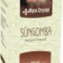 Süngomba