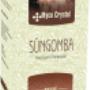 Süngomba