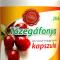 Tőzegáfonya