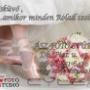 Látogató által feltöltött 2016. 04. 01. - ESKÜVŐI FOTÓ