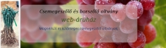Csemegeszőlő És Borszőlő Oltvány Web-Áruház