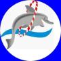 Delfin Sportegyesület