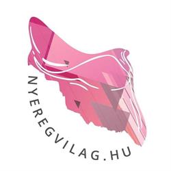 Nyeregvilag