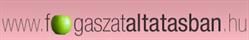 Dr. Hajdú Zsuzsanna - Felnőtt-Gyermek Fogászat