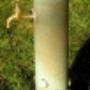 csapburkolat