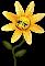 garden kft