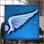 Open Wings English