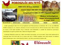 Poroszlói Keltető