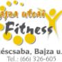 Bajza logo