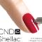Shellac
