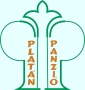 Platán Panzió