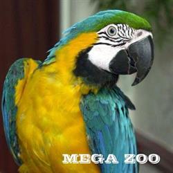 Mega Zoo Díszállat-Kereskedés