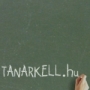 Tanárkell Kft