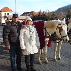 Targonca Mobil Szervíz Kft.