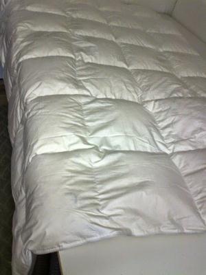 Pehelypaplan-