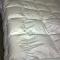 Pehelypaplan-