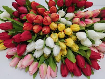 Tulipán-csokrok