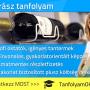 Borász tanfolyam