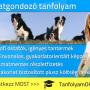 Állatgondozó tanfolyam