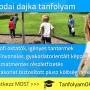Óvodai dajka tanfolyam