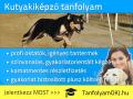 kutyakikepzo