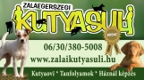 Zalaegerszegi Kutyasuli