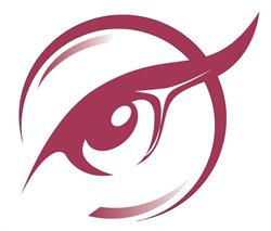 Anzsu Optika