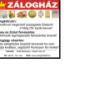 Zálogház - Arany/Ezüst