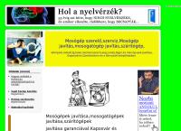Mosószervíz honlapja