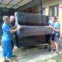 pianínó