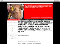 Herceg Gábor-Tetőfedő, Ács, Bádogos, Kőműves, Szigetelő ,szakmester, 06309633354 honlapja