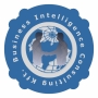 Business Intelligence Consulting Kft.
