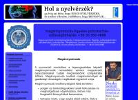 Business Intelligence Consulting Kft. honlapja