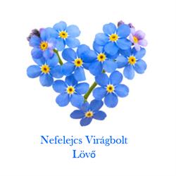 Nefelejcs Virágbolt