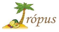 Trópus zöldség-gyümölcs nagykereskedés