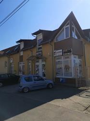 Festék Service - Festők Szakboltja