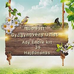 Bio Fitt Gyógynövény