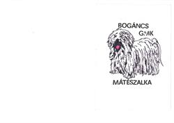 Bogáncs Vagyonvédelmi Kft