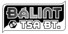 Autófényező Bálint És Társa Bt