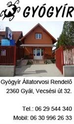 Gyógyír Állatorvosi Rendelő