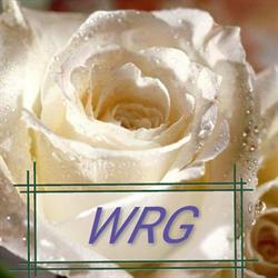 White Rose Garden Kft