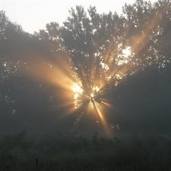 Vad Kelet Kft Matula Vadászbolt