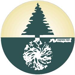 Novaplant Díszfaiskola