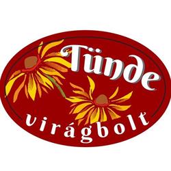 Tünde Virágbolt és Kertépítés