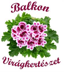 Balkon Virágkertészet